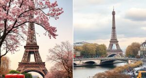Paris au fil des saisons : quand partir et à quoi s’attendre Seasonal Paris: Best Times to Visit & What to Expect