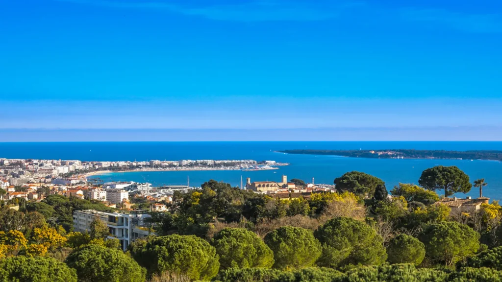 Cannes Mediterranean cityscape illustrating French Riviera luxury real estate