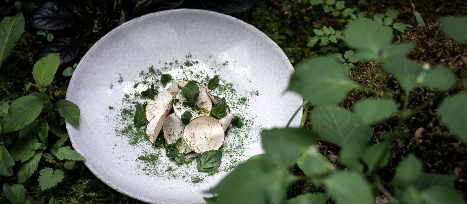 Fine dining presentation illustrating culinary hospitality careers in France