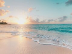 After the Fires: Can France Save Its Summer Tourism Season?