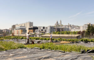 باريس في يومين: البرنامج المثالي للزيارة الأولى (دليل 2026) Rooftop garden overlooking the Paris skyline and Montmartre in 2026