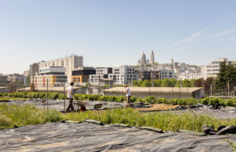 باريس في يومين: البرنامج المثالي للزيارة الأولى (دليل 2026) Rooftop garden overlooking the Paris skyline and Montmartre in 2026