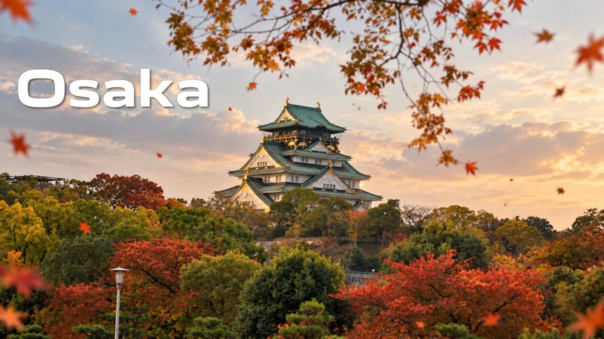 Air India Delhi–Osaka Flights Start in 2027: Schedule, Aircraft and Japan Itinerary Guide