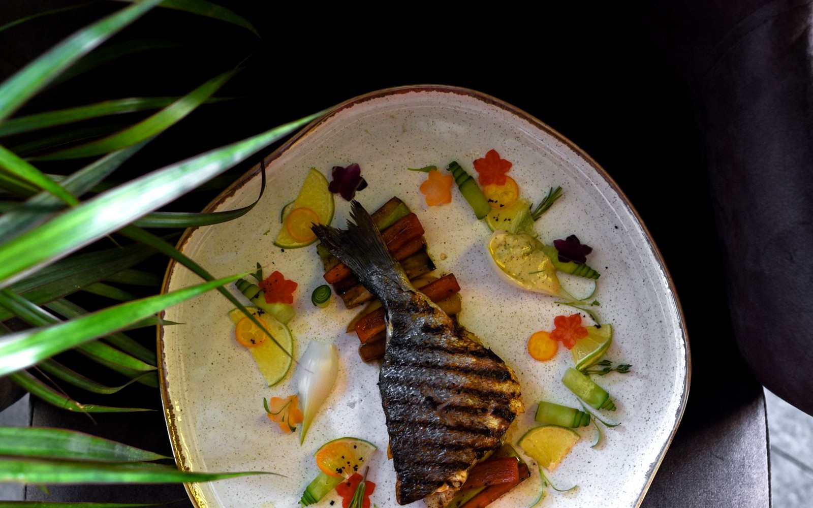 A plated fish dish — illustrative photograph.