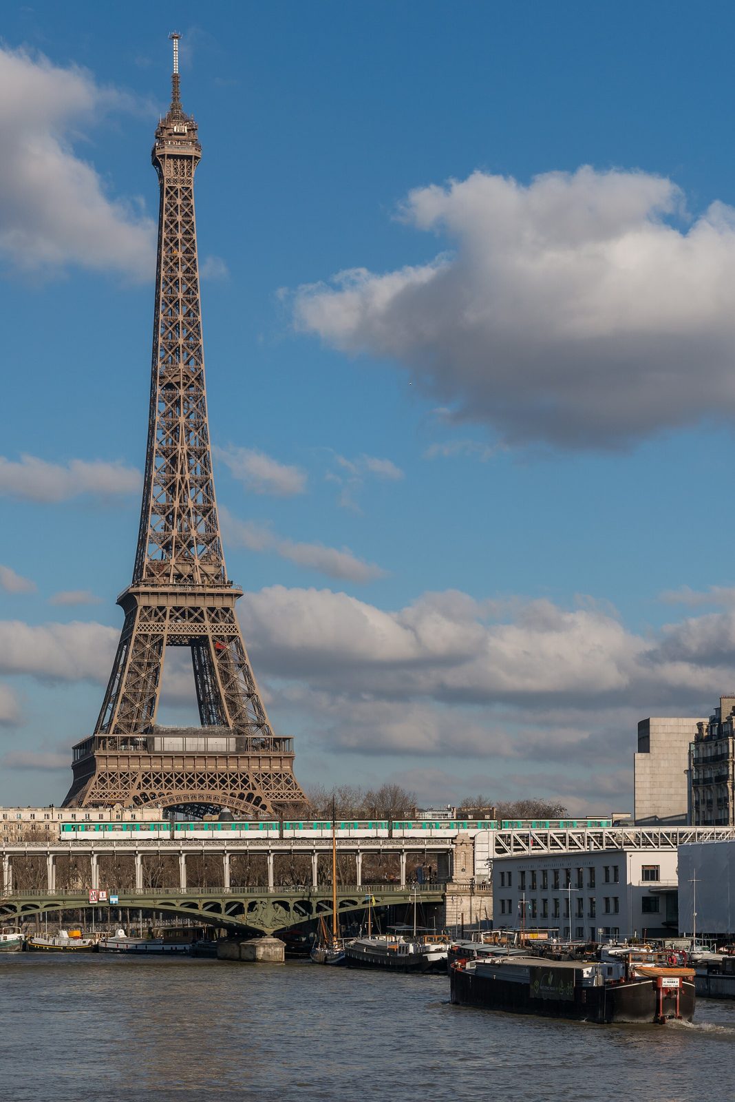 Eiffel Tower from Île aux Cygnes