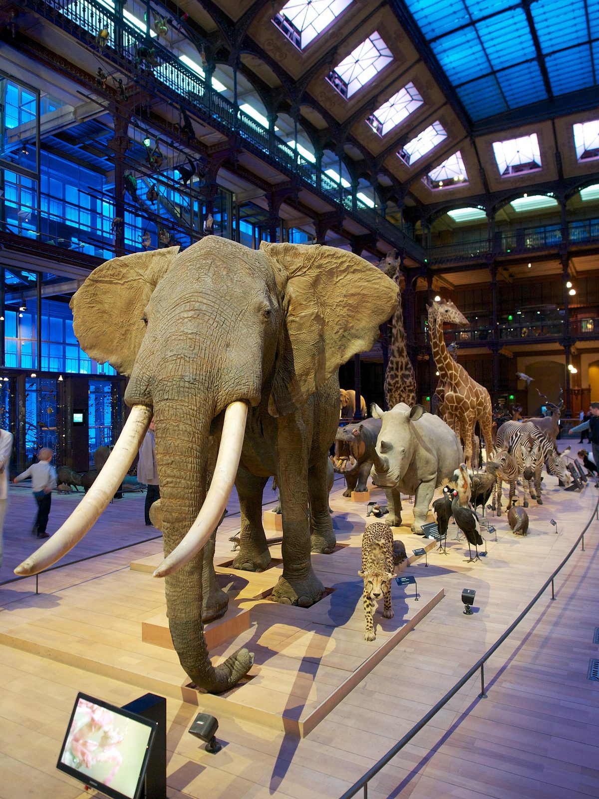 Evolution Gallery Paris with children