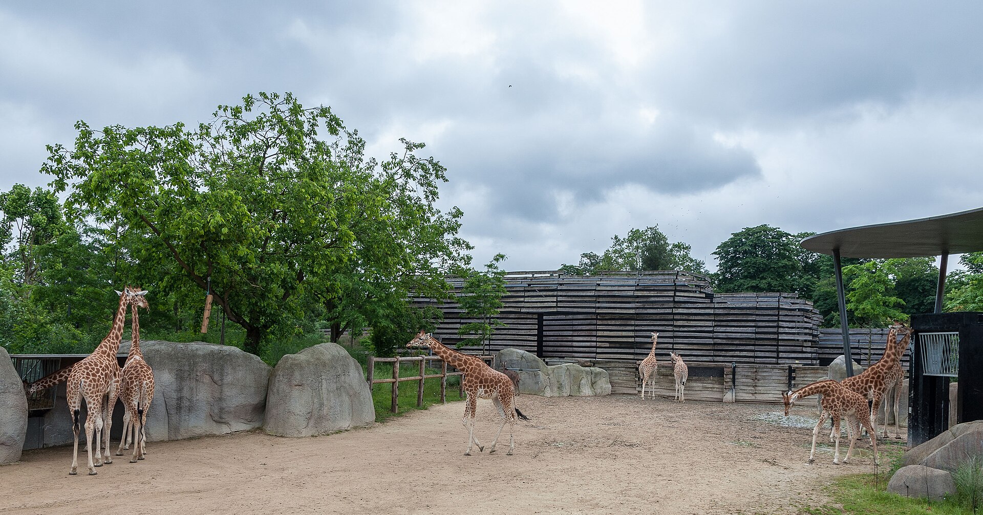 Parc zoologique de Paris – Paris family guide