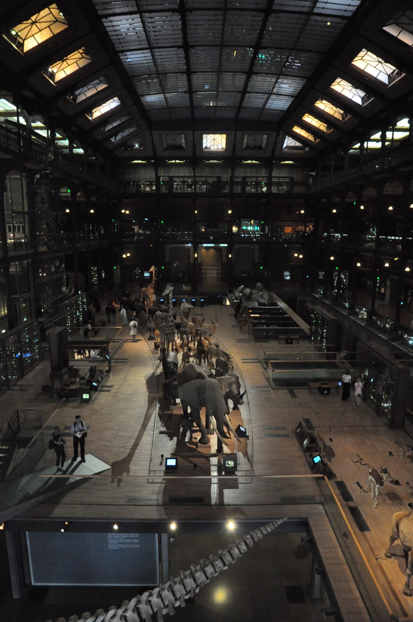 Grande Galerie de l’Évolution à Paris