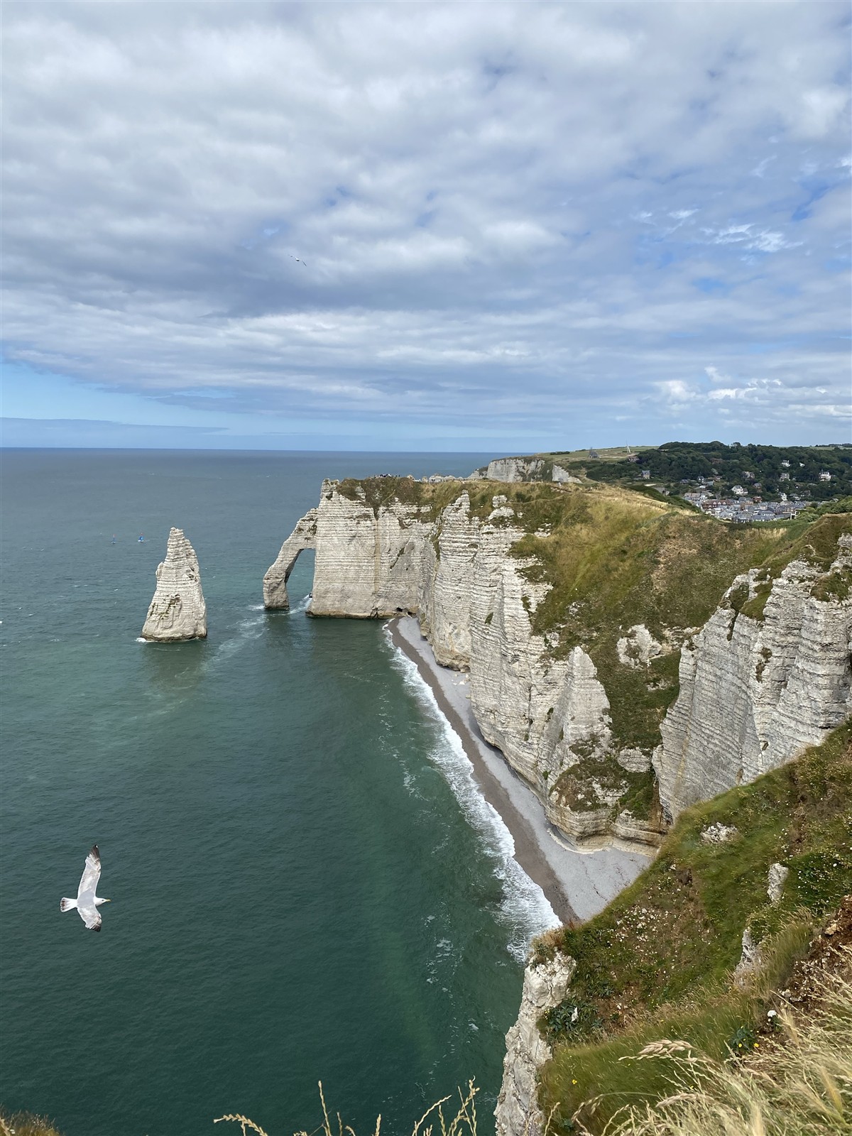 Étretat’s needle and arch with a seabird in the foreground, from the magazine’s Normandy visit.