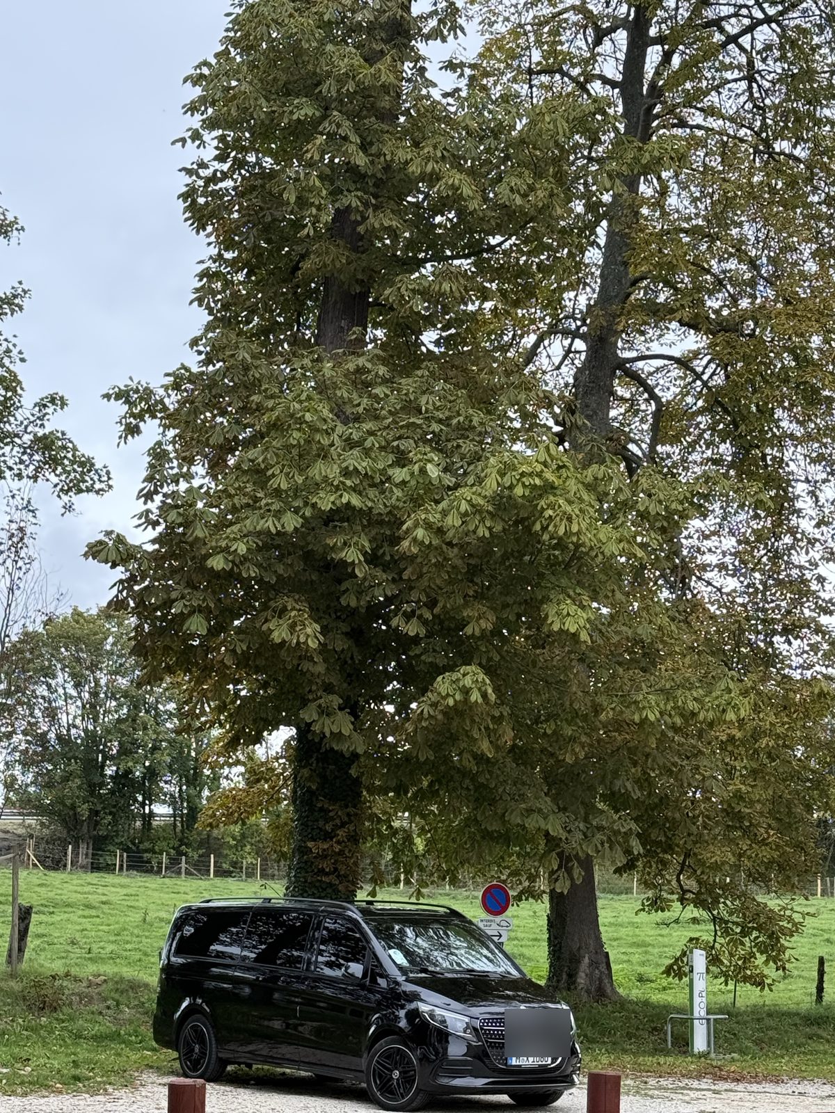 Private passenger vehicle under mature trees at Château de Bellefontaine in Bayeux