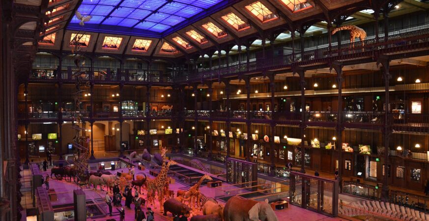 The Grande Galerie de l’Évolution in Paris