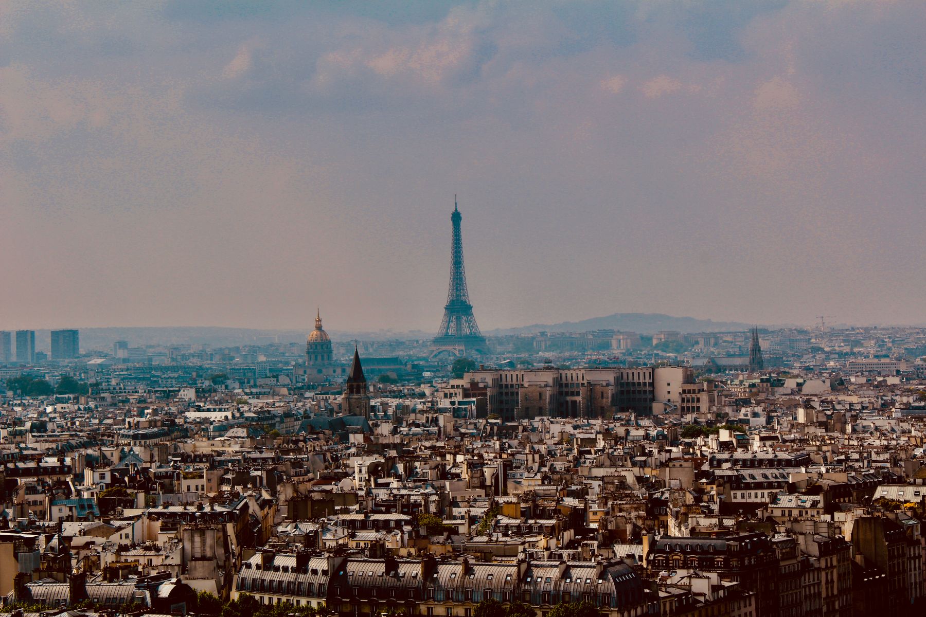 Paris rooftops and the Eiffel Tower viewed across the city