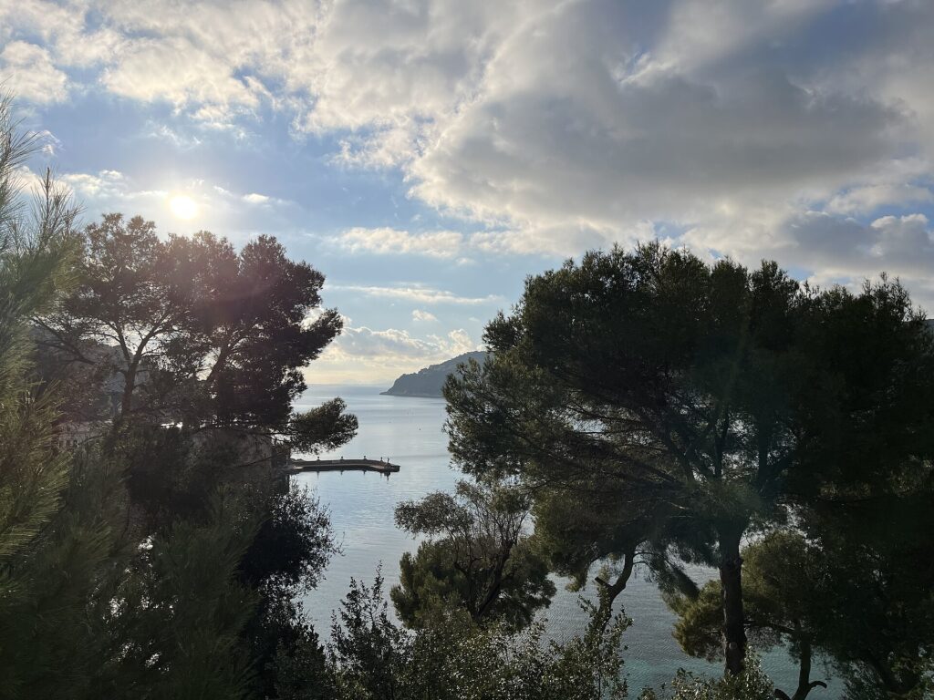 La Méditerranée vue à travers les pins à Saint-Jean-Cap-Ferrat en 2024