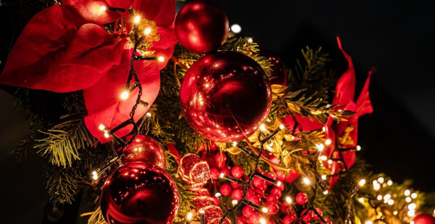 Festive decorations in Paris, December 2025.