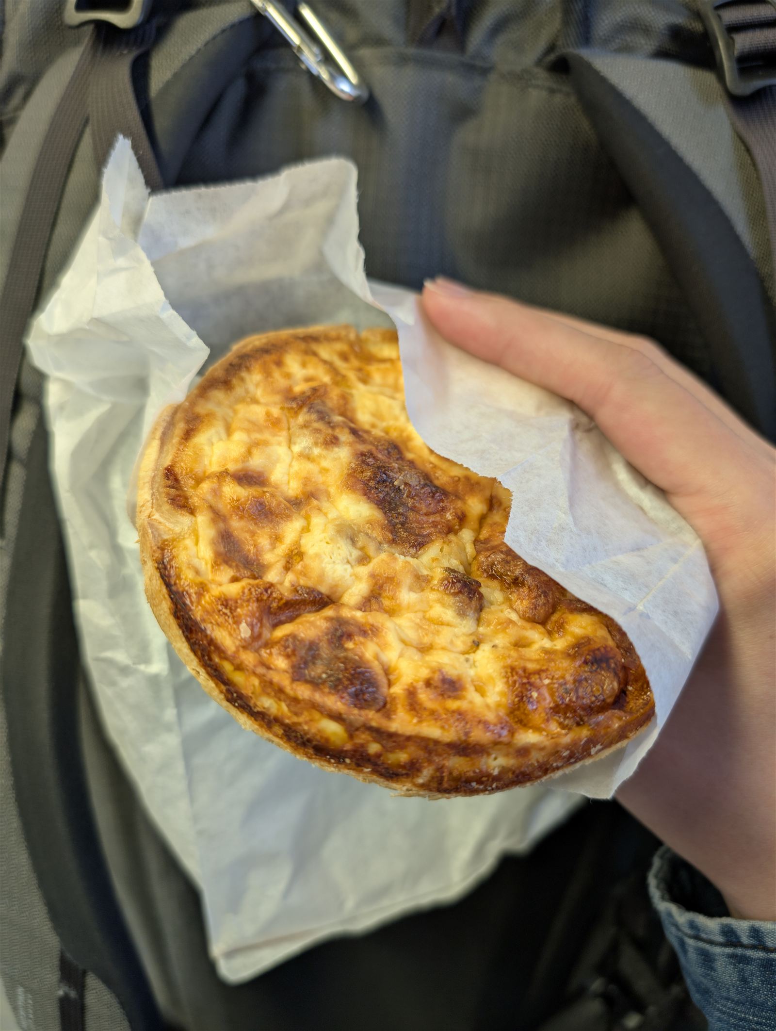 Golden French quiche Lorraine
